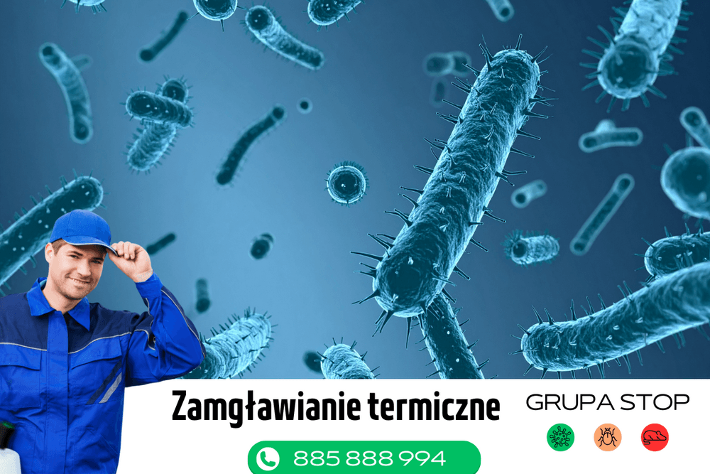 zamgławianie termiczne Grupa Stop